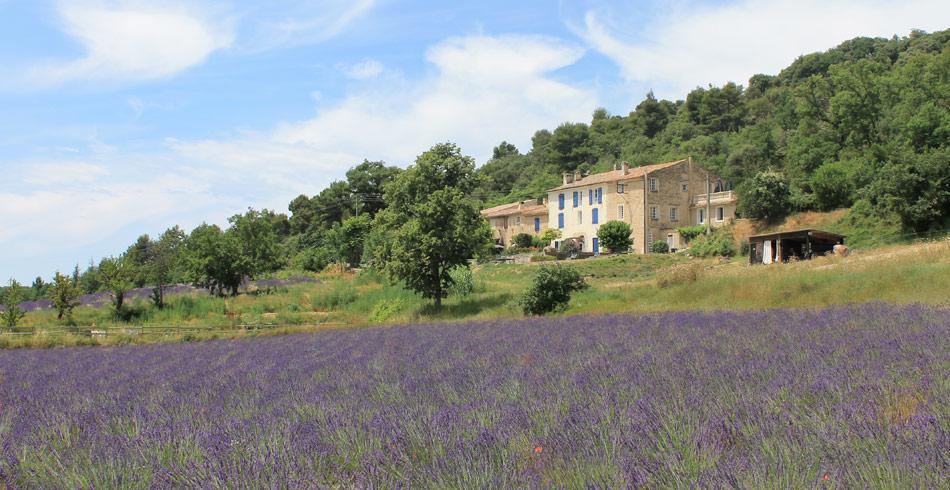 Domaine De Bertrandy Bed & Breakfast Allemagne-en-Provence Exterior photo
